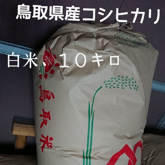 白米、10kg、30年鳥取県産コシヒカリ　米/穀物
