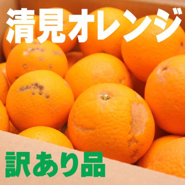 訳あり清見オレンジ7.5ｋｇ　和歌山県から農園直送！！ 食品/飲料/酒の食品(フルーツ)の商品写真