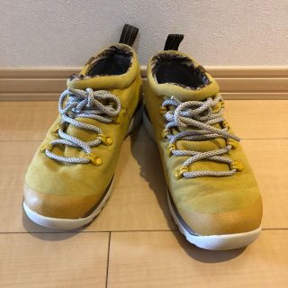 コロンビア(Columbia)のコロンビア ローカットスニーカー 24.5cm(スニーカー)