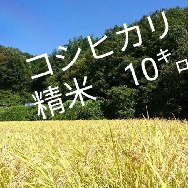 値下げ❗10kg  30年産  精米　こしひかり 山からの蛍の舞う清水で育った