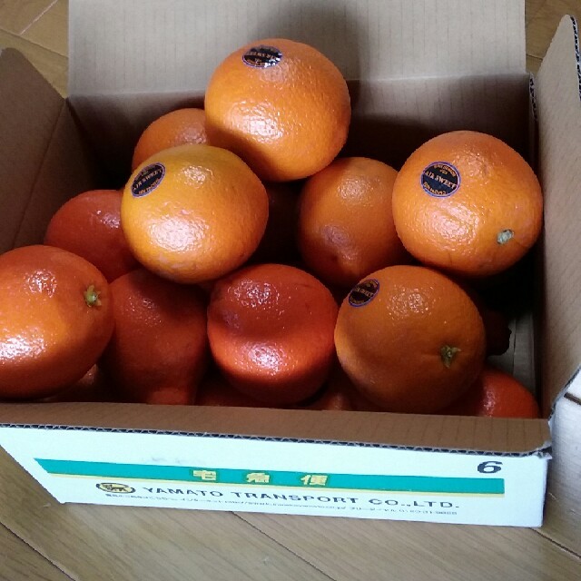 輸入オレンジ3.5㎏ 食品/飲料/酒の食品(フルーツ)の商品写真