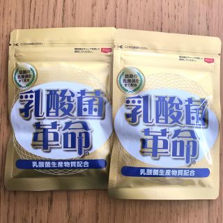 乳酸菌革命  62粒  2袋(その他)