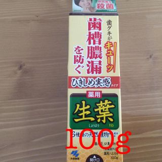 コバヤシセイヤク(小林製薬)の小林製薬 生葉 100g(歯磨き粉)