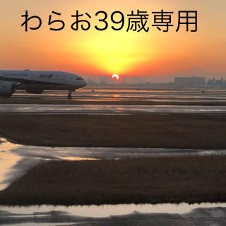 ジャル(ニホンコウクウ)(JAL(日本航空))のわらお39様専用 JAL 都道府県シール(航空機)