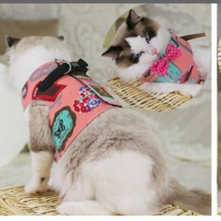 美品☆ペット用ハーネスSサイズ【試着のみ】(犬)