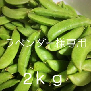 ☆ラベンダー様専用☆スナップえんどう(野菜)