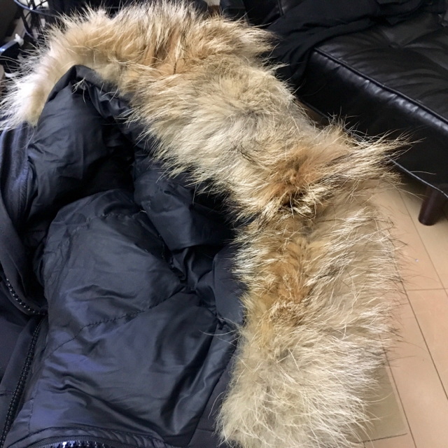 CANADA GOOSE(カナダグース)のカナダグース ダウンジャケット(中古) レディースのジャケット/アウター(ダウンジャケット)の商品写真