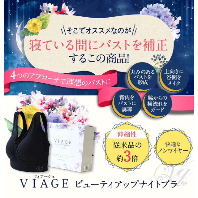 viage ナイトブラ Lサイズ ライトブルー レディースの下着/アンダーウェア(ブラ)の商品写真