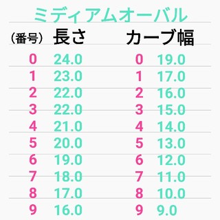 チップ15.グレージュ（薄め）×レオパード　オーダー料金込　土日発送休み コスメ/美容のネイル(つけ爪/ネイルチップ)の商品写真