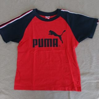 プーマ(PUMA)のPUMA Tシャツ 140㎝(Tシャツ/カットソー)