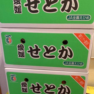 せとか(フルーツ)