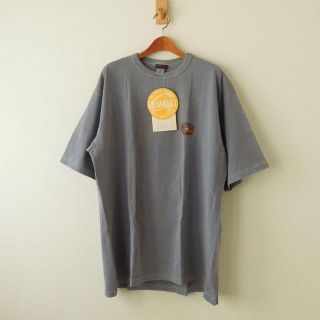 グラミチ(GRAMICCI)のグラミチ DESERT SUN TEE SHIRT USA製 M(t-539)(Tシャツ/カットソー(半袖/袖なし))