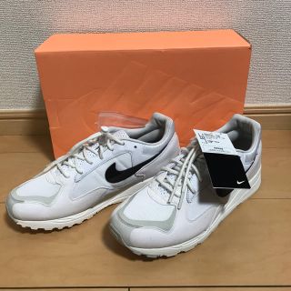 フィアオブゴッド(FEAR OF GOD)のNIKE FEAR OF GOD SKYLON 2(スニーカー)