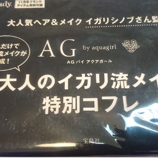 エージーバイアクアガール(AG by aquagirl)のsteady付録 新品未開封品 メイクコフレ！(コフレ/メイクアップセット)