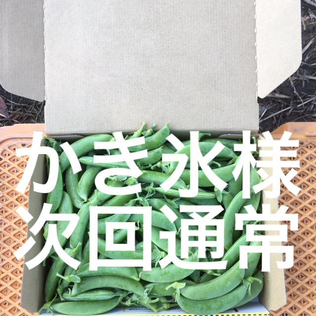 鹿児島産スナップエンドウ1キロ^_^次回通常 食品/飲料/酒の食品(野菜)の商品写真