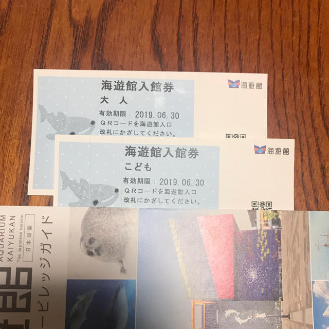 海遊館 大人&こどものペアチケット チケットの施設利用券(水族館)の商品写真