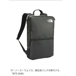 美品 THE NORTH FACE マイクロバイト