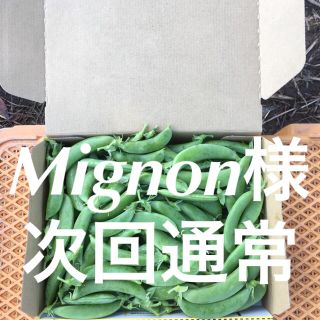 鹿児島産スナップエンドウ1キロ^_^次回通常(野菜)