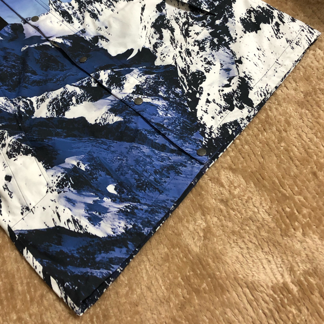 Supreme(シュプリーム)の美品 2017AW Supreme The North Face 雪山 メンズのジャケット/アウター(マウンテンパーカー)の商品写真