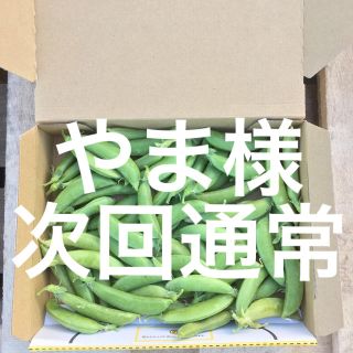 鹿児島産スナップエンドウ箱込み500g^_^次回通常(野菜)