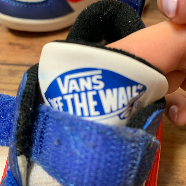 VANS(ヴァンズ)のvansキッズスニーカー✨15センチ キッズ/ベビー/マタニティのキッズ靴/シューズ(15cm~)(スニーカー)の商品写真