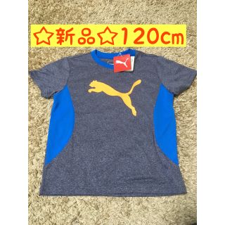 プーマ(PUMA)のプーマ Tシャツ 120cm(Tシャツ/カットソー)