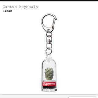 シュプリーム(Supreme)のsupreme cactus keychain(キーホルダー)