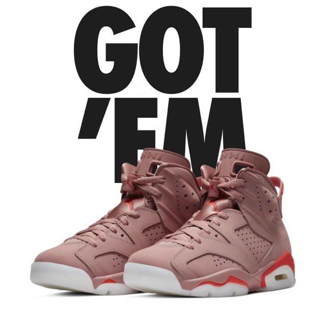 24cm ALEALI MAY × NIKE AIR JORDAN 6 国内レディース