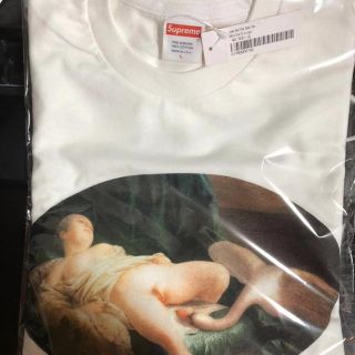 シュプリーム(Supreme)のSupreme 19ss Leda and The Swan Tee(Tシャツ/カットソー(半袖/袖なし))