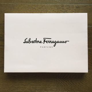 サルヴァトーレフェラガモ(Salvatore Ferragamo)の新品未開封 フェラガモ 5ポケット ドキュメントケース(ファイル/バインダー)