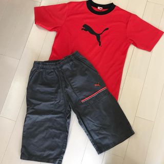 プーマ(PUMA)のPUMA プーマ 7分丈パンツ Tシャツセット 150(Tシャツ/カットソー)