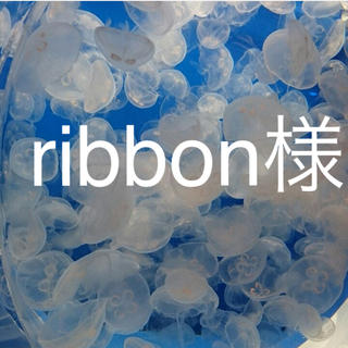ribbon様専用(各種パーツ)