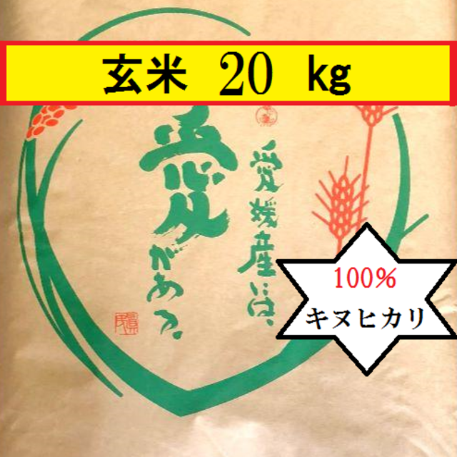 お米　H30　愛媛県産キヌヒカリ　玄米　20㎏ 食品/飲料/酒の食品(米/穀物)の商品写真