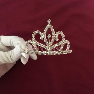 ヴァンドームアオヤマ(Vendome Aoyama)のティアラ ヴァンドーム青山(その他)