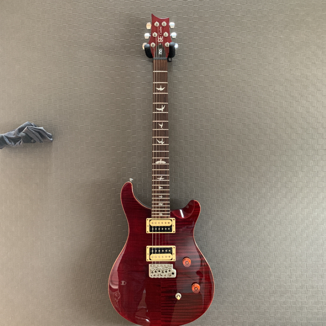 PRS SE Custom