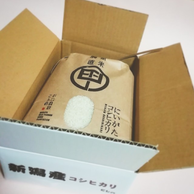 平成30年度産　特別栽培米　新潟コシヒカリ　５㎏　農家直米 食品/飲料/酒の食品(米/穀物)の商品写真