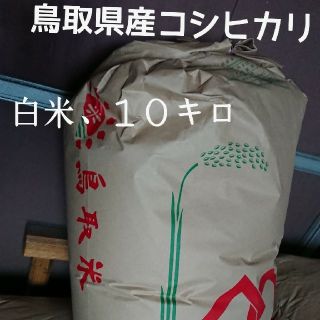 白米、10kg、30年鳥取県産コシヒカリ(米/穀物)