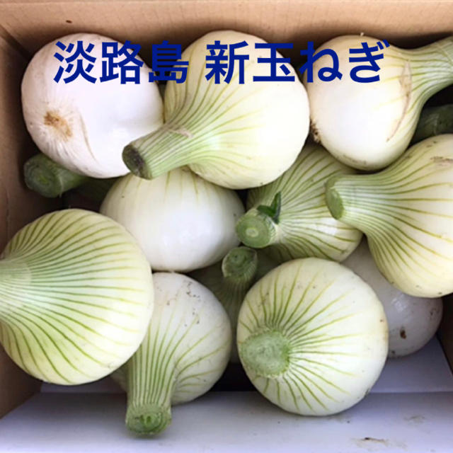 いいね(#^.^#)淡路島 新玉ねぎ スーパーアップ 3kg (60サイズ) 食品/飲料/酒の食品(野菜)の商品写真