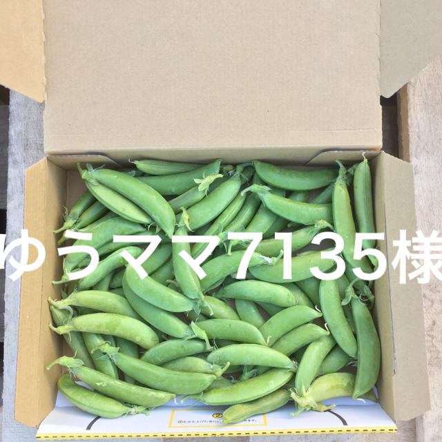 鹿児島産スナップエンドウ箱込み500g^_^ 食品/飲料/酒の食品(野菜)の商品写真