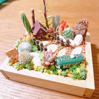 ぶう様 専用  多肉植物寄せ植え(その他)