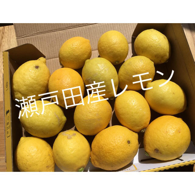 【産地直送】広島/瀬戸田産 レモン1.2kg 送料込み◎ 食品/飲料/酒の食品(フルーツ)の商品写真