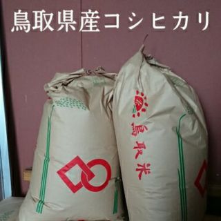 白米、10kg、30年鳥取県産コシヒカリ(米/穀物)