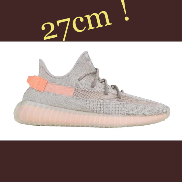 adidas Yeezy Boost 350 V2 True form