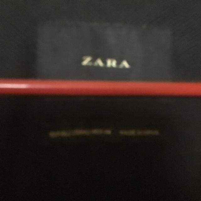 ZARA(ザラ)のZARA ジップパーカー メンズのトップス(パーカー)の商品写真