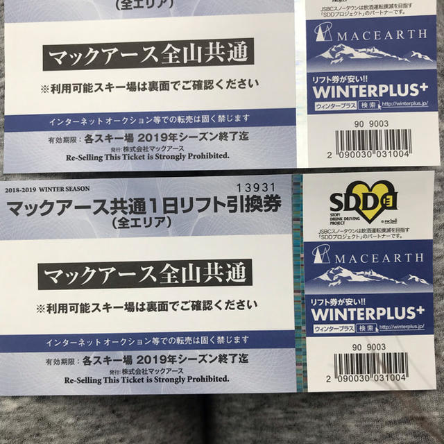 高鷲スノーパーク・ダイナランド共通１日リフト券 2枚セット