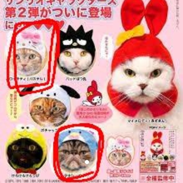 サンリオ(サンリオ)のねこのかぶりもの サンリオキャラクターズ2 その他のペット用品(猫)の商品写真