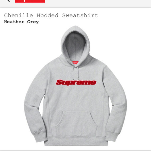 国内正規品 supreme Chenille Hooded Sweatshirt