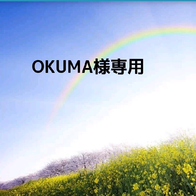 OKUMA様専用 クレンジング/メイク落とし