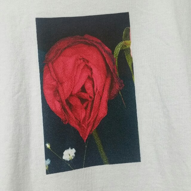 Supreme(シュプリーム)の【L】supreme araki tee メンズのトップス(Tシャツ/カットソー(半袖/袖なし))の商品写真