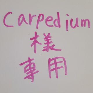 carpedium様専用(各種パーツ)